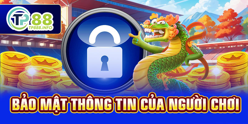 Bảo mật thông tin của người chơi