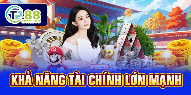 Khả năng tài chính lớn mạnh