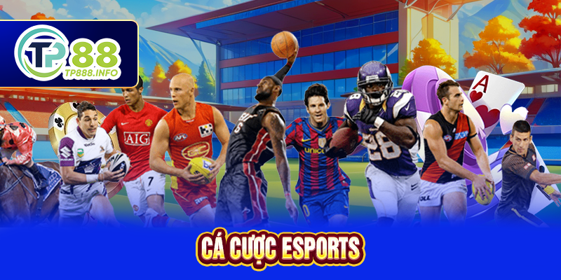 Cá cược Esports